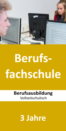 Auf diesem Bild steht der Text Berufsfachschule mit Doppelqualifizierung 3 Jahre. Auf dem Bild sind zwei Schüler abgebildet, die vor einem PC sitzen.
